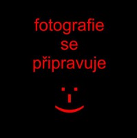 /album/obr-5/fotografie-se-pripravuje-jpg/